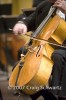 Filename=Pasadena_Symphony238.jpg
Filesize=30KiB
Dimensions=266x400
Date added=Nov 12, 2007 Pasadena_Symphony238.jpg