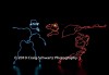 Filename=Darwin_072.jpg
Filesize=16KiB
Dimensions=400x278
Date added=Feb 26, 2010 Darwin_072.jpg