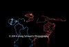 Filename=Darwin_082.jpg
Filesize=17KiB
Dimensions=400x276
Date added=Feb 26, 2010 Darwin_082.jpg