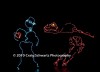 Filename=Darwin_087.jpg
Filesize=19KiB
Dimensions=400x291
Date added=Feb 26, 2010 Darwin_087.jpg