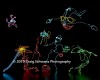 Filename=Darwin_105.jpg
Filesize=27KiB
Dimensions=400x320
Date added=Feb 26, 2010 Darwin_105.jpg