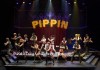 Pippin_671.jpg