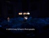 Filename=A_Midsummer_Night_s_Dream_338.jpg
Filesize=17KiB
Dimensions=400x309
Date added=Jul 19, 2010 A_Midsummer_Night_s_Dream_338.jpg