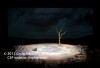 Filename=Waiting_for_Godot_Set_Shots_017.jpg
Filesize=18KiB
Dimensions=400x273
Date added=Apr 30, 2012 Waiting_for_Godot_Set_Shots_017.jpg