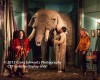 Filename=Elephant_Room_312.jpg
Filesize=48KiB
Dimensions=400x320
Date added=Oct 01, 2012 Elephant_Room_312.jpg