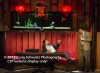 Filename=Glengarry_Glen_Ross_099.jpg
Filesize=36KiB
Dimensions=400x294
Date added=Oct 01, 2012 Glengarry_Glen_Ross_099.jpg
