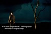 Filename=Waiting_For_Godot_328.jpg
Filesize=16KiB
Dimensions=400x275
Date added=Apr 30, 2012 Waiting_For_Godot_328.jpg
