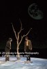 Filename=Waiting_For_Godot_480.jpg
Filesize=24KiB
Dimensions=276x400
Date added=Apr 30, 2012 Waiting_For_Godot_480.jpg
