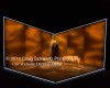 Filename=I_ll_Go_On_018.jpg
Filesize=25KiB
Dimensions=400x320
Date added=Mar 31, 2014 I_ll_Go_On_018.jpg