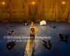 Filename=Persians_086.jpg
Filesize=37KiB
Dimensions=400x320
Date added=Oct 01, 2014 Persians_086.jpg