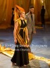 Filename=Persians_097.jpg
Filesize=40KiB
Dimensions=298x400
Date added=Oct 01, 2014 Persians_097.jpg
