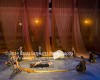 Filename=Persians_222.jpg
Filesize=37KiB
Dimensions=400x320
Date added=Oct 01, 2014 Persians_222.jpg