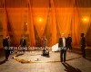Filename=Persians_281.jpg
Filesize=40KiB
Dimensions=400x320
Date added=Oct 01, 2014 Persians_281.jpg