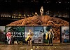 Filename=Elliot_A_Soldiers_Fugue_294.jpg
Filesize=137KiB
Dimensions=800x574
Date added=Feb 20, 2018 Elliot_A_Soldiers_Fugue_294.jpg