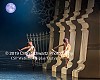 Filename=Swan_Lake_481.jpg
Filesize=105KiB
Dimensions=800x640
Date added=Feb 21, 2020 Swan_Lake_481.jpg