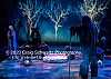 Filename=ACC349.jpg
Filesize=136KiB
Dimensions=800x568
Date added=Dec 16, 2024 ACC349.jpg