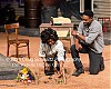 Filename=KHll420.jpg
Filesize=146KiB
Dimensions=800x640
Date added=Dec 16, 2024 KHll420.jpg