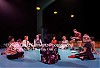AMNI476.jpg
